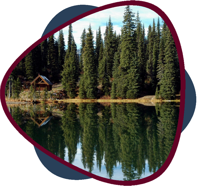 A lake with trees in the background and a house on the water.